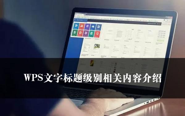 WPS文字标题级别相关内容介绍