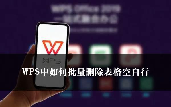 WPS中如何批量删除表格空白行