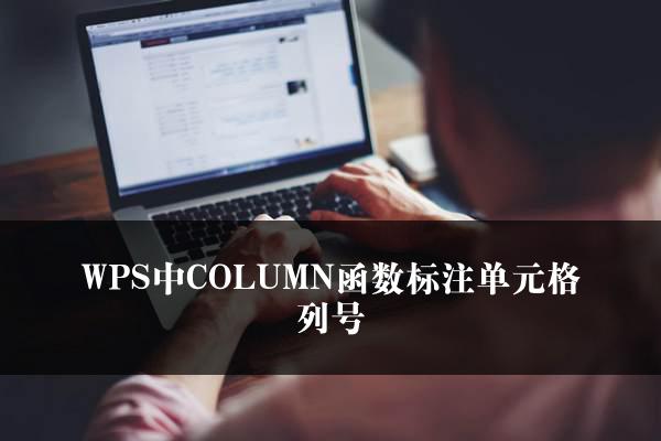 WPS中COLUMN函数标注单元格列号