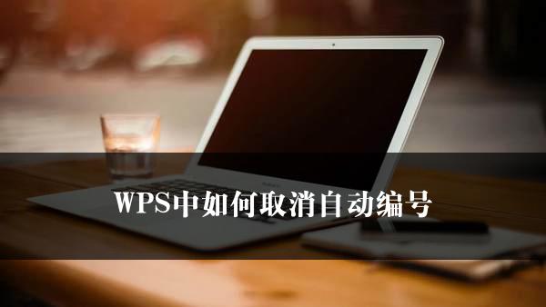 WPS中如何取消自动编号