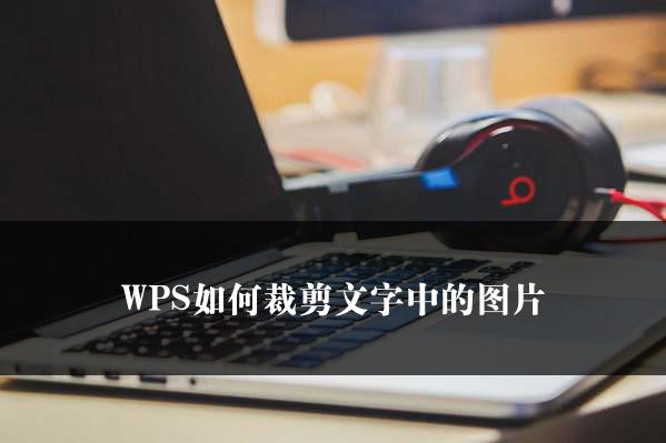 WPS如何裁剪文字中的图片