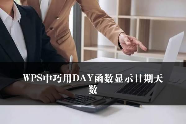 WPS中巧用DAY函数显示日期天数