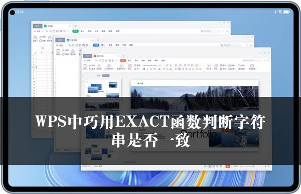 WPS中巧用EXACT函数判断字符串是否一致