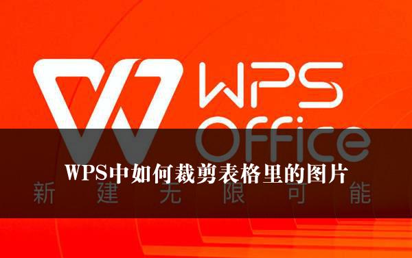 WPS中如何裁剪表格里的图片