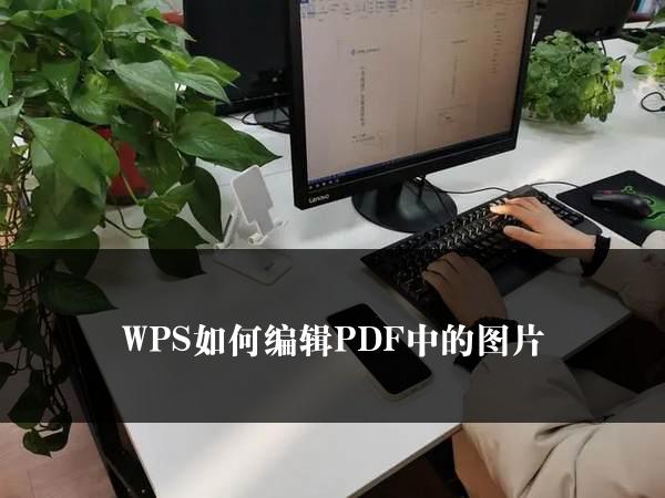 WPS如何编辑PDF中的图片