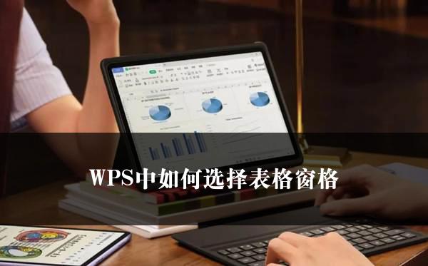 WPS中如何选择表格窗格